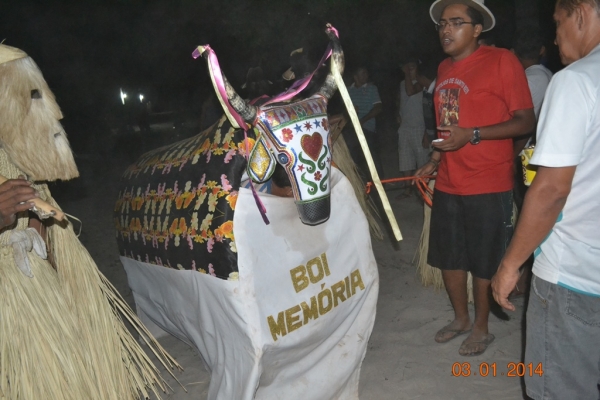 Grupo de Reisado do Boi Memória faz peregrinação no bairro Mato Seco. - Imagem 3
