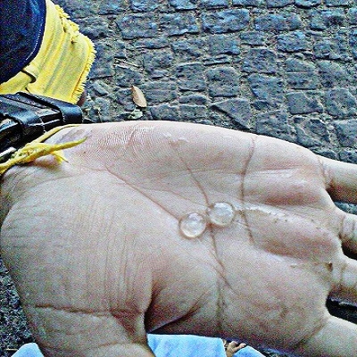 Chuva de Granizo? - Imagem 2