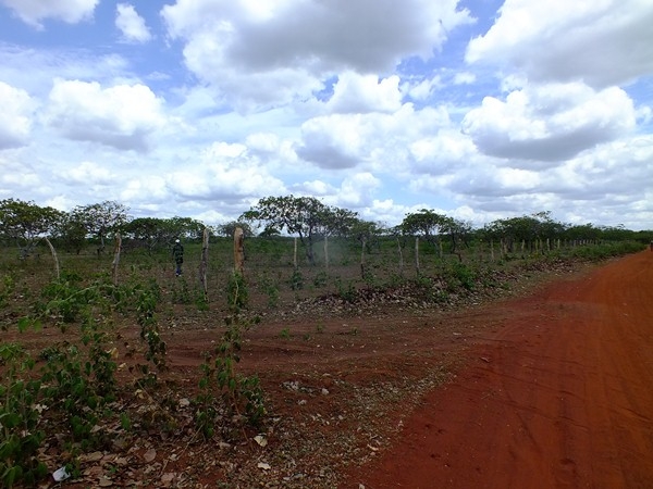 Zona Rural de Dom Expedito Lopes esta contemplado com poço tubular. - Imagem 11