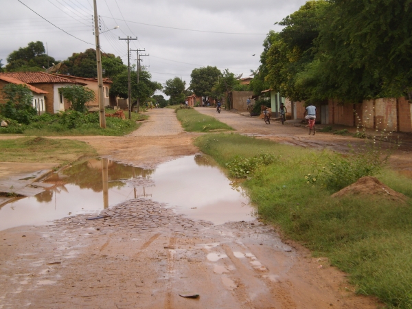 Mato e lama tomam conta do bairro Terra Nova - Imagem 2