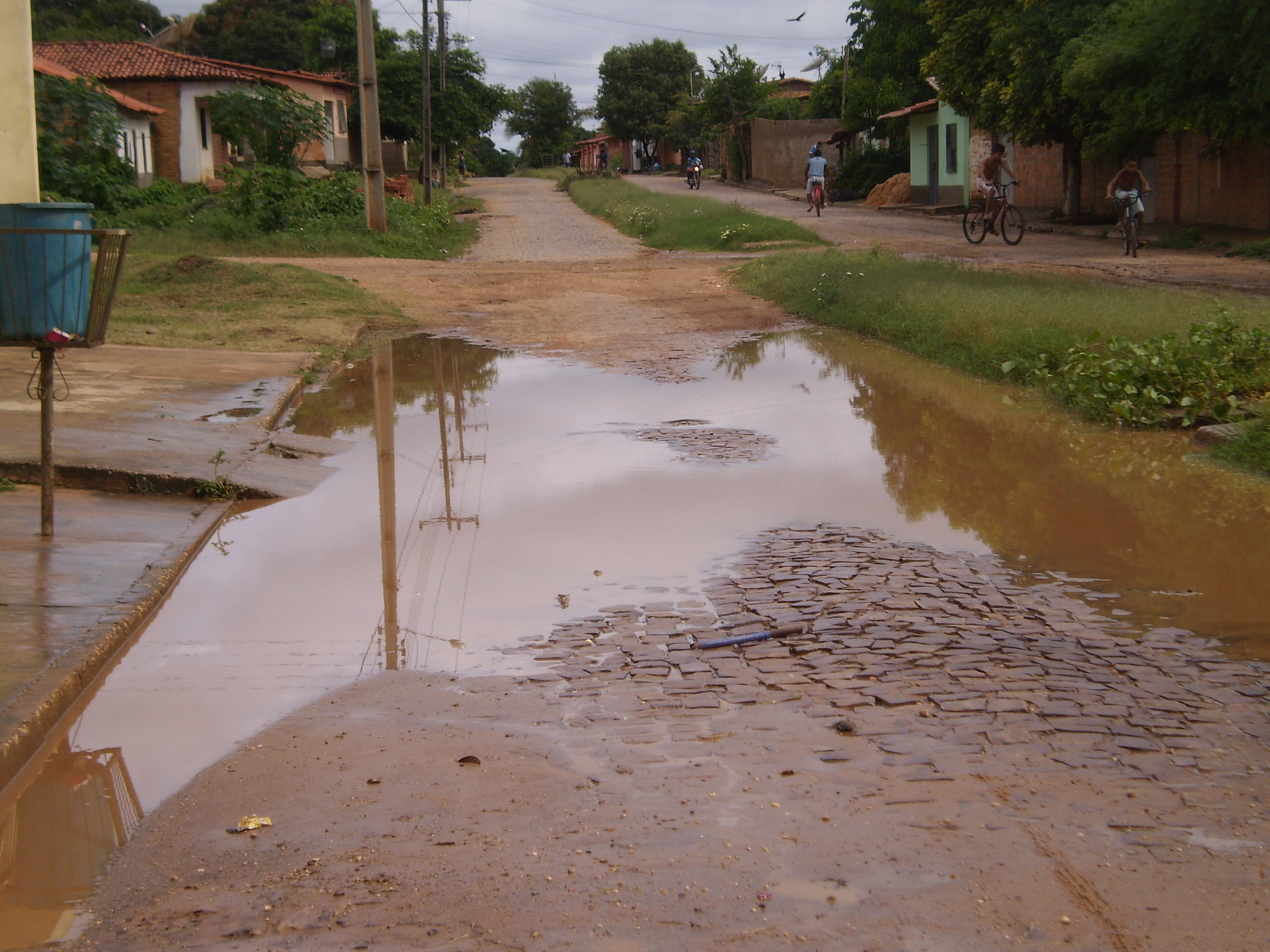 Mato e lama tomam conta do bairro Terra Nova