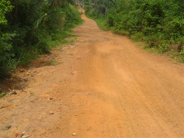 Prefeitura de Lagoinha recupera estradas Vicinais no Município - Imagem 8