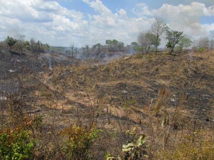 Quatro Lagoinhense Morre em um Acidente de transito na BR 316   - Imagem 7