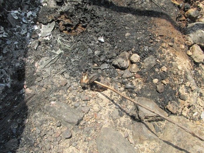 Quatro Lagoinhense Morre em um Acidente de transito na BR 316   - Imagem 32