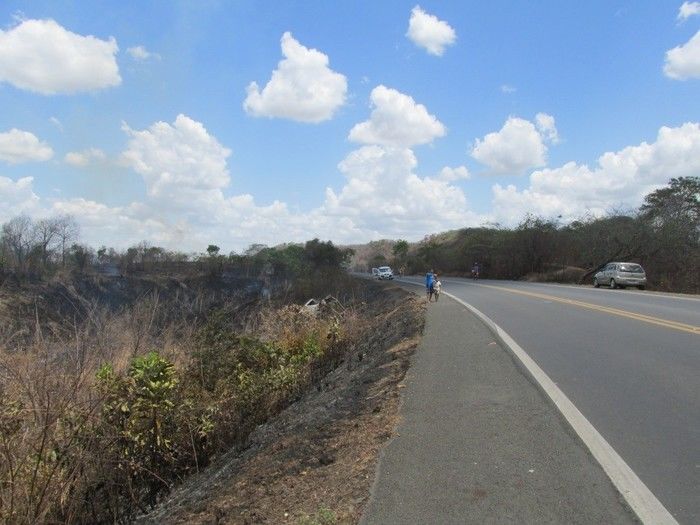 Quatro Lagoinhense Morre em um Acidente de transito na BR 316   - Imagem 5