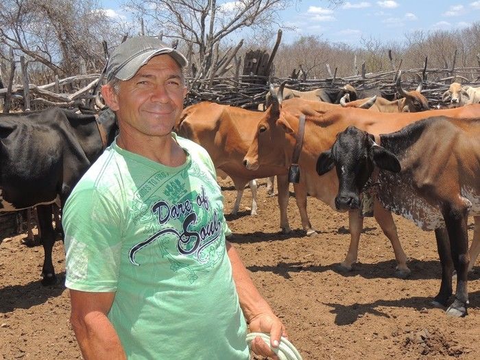 Comunidades do sertão comemoram a conquista de água potável - Imagem 3