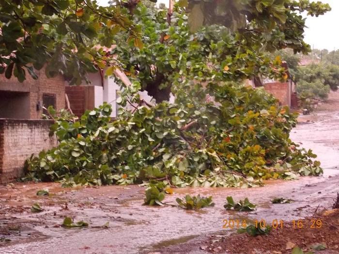 Chuva com ventania provoca danos em diversos pontos da cidade - Imagem 3