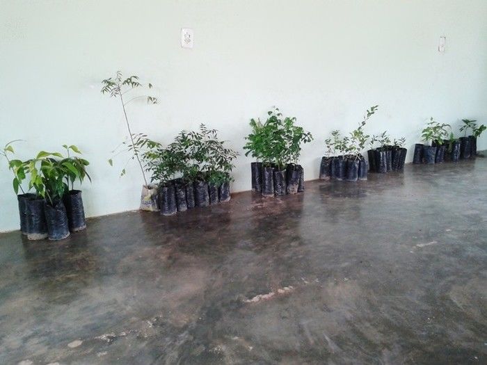 Secretaria de Assistência realiza palestra com as famílias do programa “ Minha Casa Minha Vida 2 ” - Imagem 9