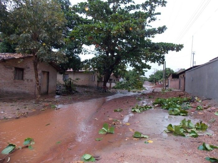 Chuva com ventania provoca danos em diversos pontos da cidade - Imagem 21