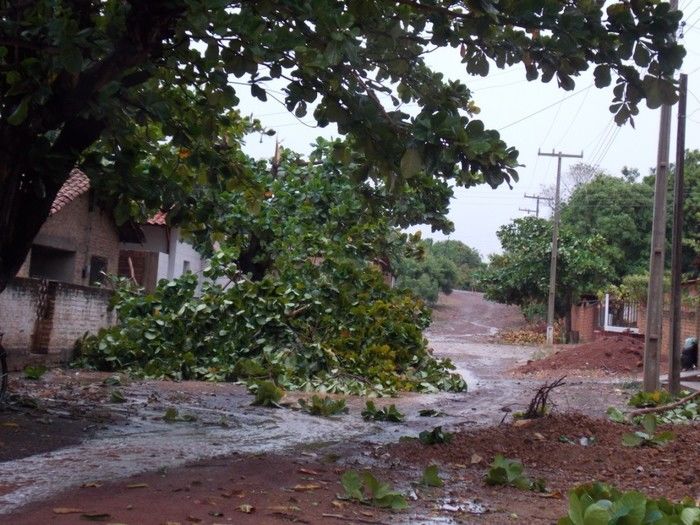 Chuva com ventania provoca danos em diversos pontos da cidade - Imagem 22
