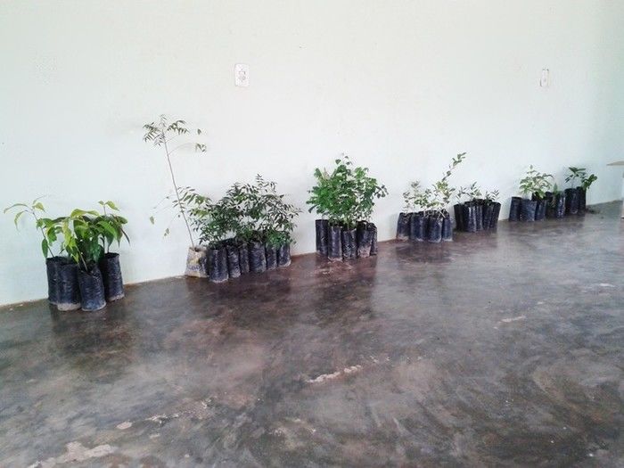 Secretaria de Assistência realiza palestra com as famílias do programa “ Minha Casa Minha Vida 2 ” - Imagem 10