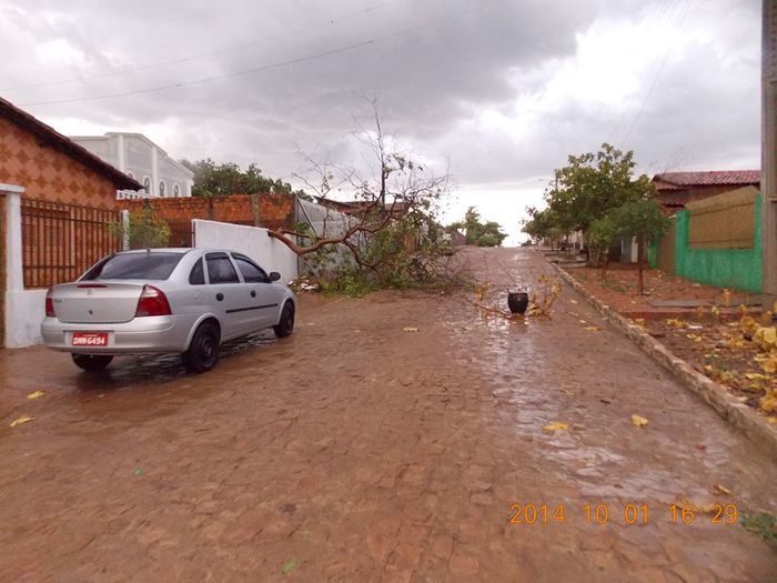 Chuva com ventania provoca danos em diversos pontos da cidade - Imagem 18