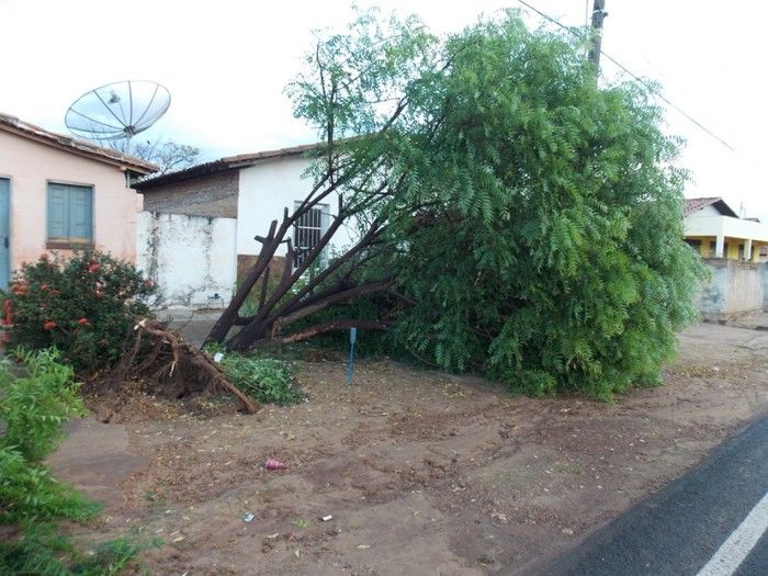 Chuva com ventania provoca danos em diversos pontos da cidade - Imagem 26