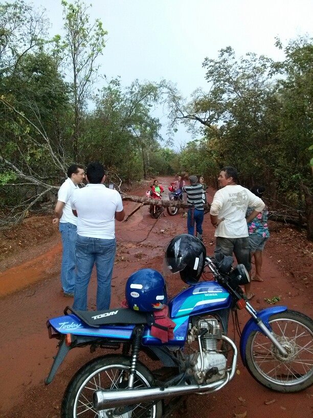 Chuva com ventania provoca danos em diversos pontos da cidade - Imagem 1