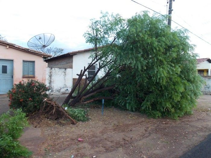 Chuva com ventania provoca danos em diversos pontos da cidade - Imagem 28
