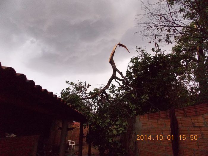 Chuva com ventania provoca danos em diversos pontos da cidade - Imagem 11
