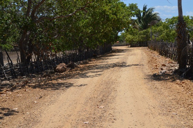 Prefeitura de José de Freitas recupera estradas nas localidades Tamboril e Carcará - Imagem 1