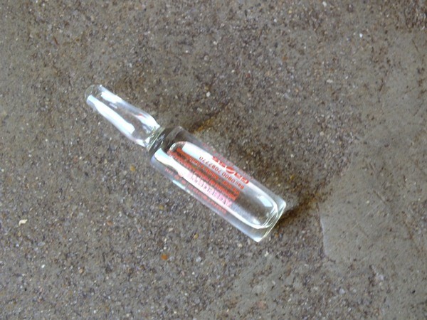 Criança com ossos de vidros no Piauí precisa de ajuda. - Imagem 11