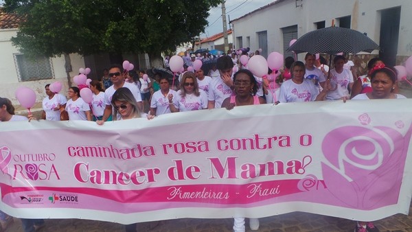 Caminhada marca Outubro Rosa em Pimenteiras. Veja as fotos  - Imagem 14