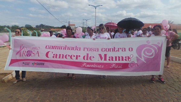 Caminhada marca Outubro Rosa em Pimenteiras. Veja as fotos  - Imagem 1