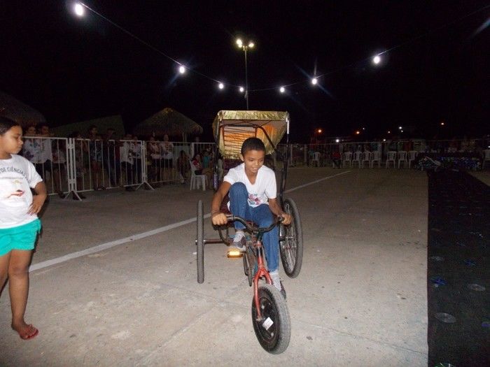 Sustentabilidade é Vida foi tema da “III Feira de Ciências” - Imagem 223