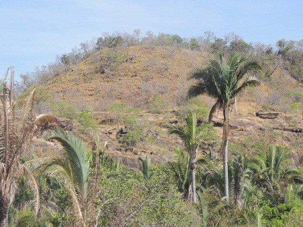                                        Furtuoso o andarilho milagroso - Imagem 10