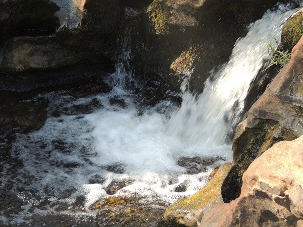                                        Furtuoso o andarilho milagroso - Imagem 8