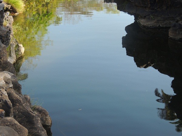                                        Furtuoso o andarilho milagroso - Imagem 7