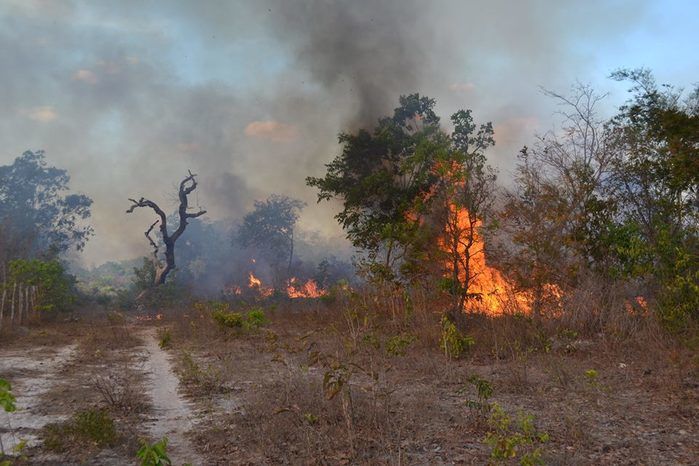 GAV: ‘Moradores acionam o Grupo para ajudar a conter o fogo’ - Imagem 15