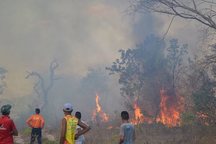 GAV: ‘Moradores acionam o Grupo para ajudar a conter o fogo’ - Imagem 9