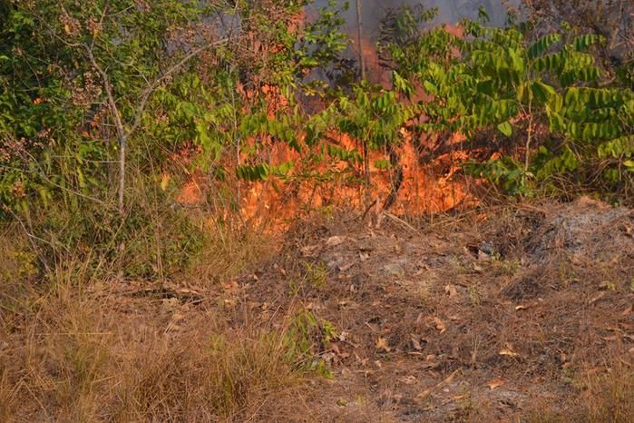 GAV: ‘Moradores acionam o Grupo para ajudar a conter o fogo’ - Imagem 6