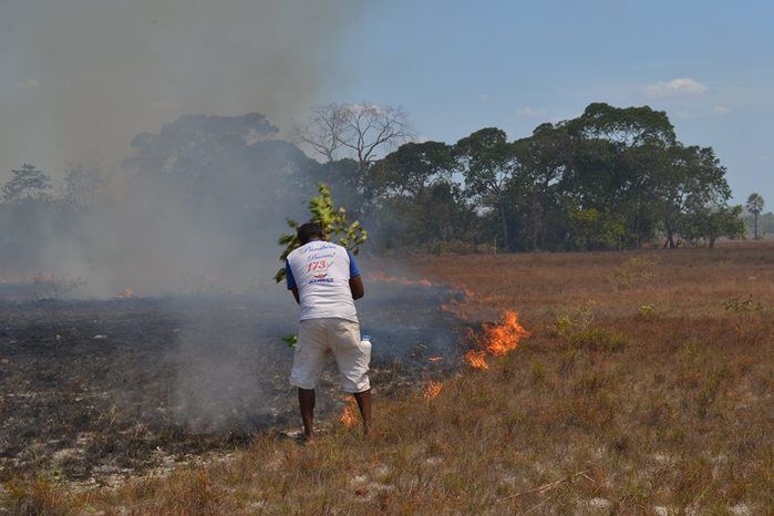 GAV: ‘Moradores acionam o Grupo para ajudar a conter o fogo’ - Imagem 16
