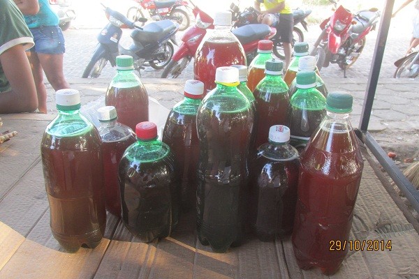 I Feira de Venda e Exposição da Agricultura Familiar - Imagem 7