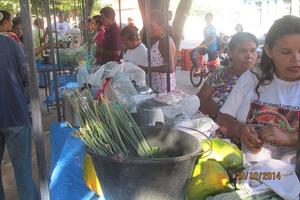 I Feira de Venda e Exposição da Agricultura Familiar - Imagem 14