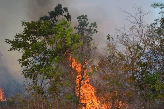 GAV: ‘Moradores acionam o Grupo para ajudar a conter o fogo’ - Imagem 17