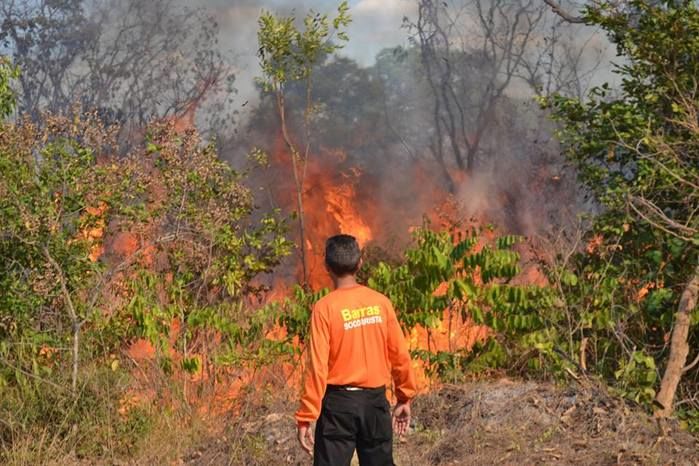 GAV: ‘Moradores acionam o Grupo para ajudar a conter o fogo’ - Imagem 7