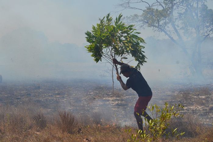 GAV: ‘Moradores acionam o Grupo para ajudar a conter o fogo’ - Imagem 2
