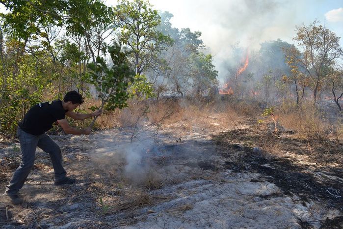 GAV: ‘Moradores acionam o Grupo para ajudar a conter o fogo’ - Imagem 3