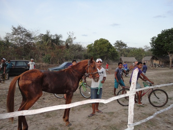Festejos de São Francisco; Corrida de cavalos - Imagem 2