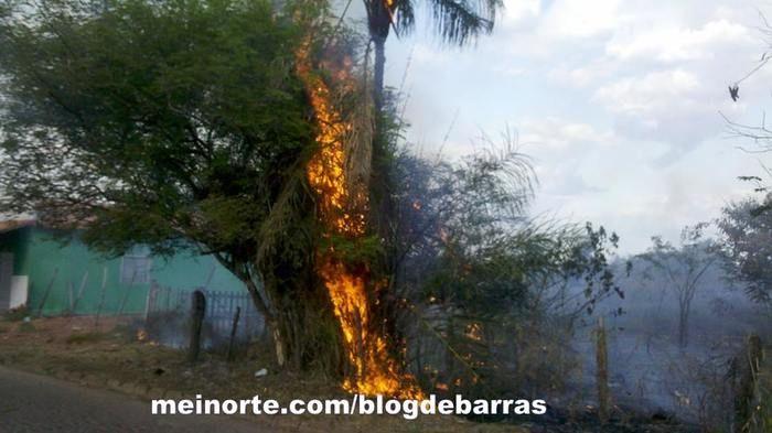 Mais um incêndio em Barras - Imagem 6
