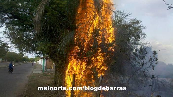 Mais um incêndio em Barras - Imagem 2