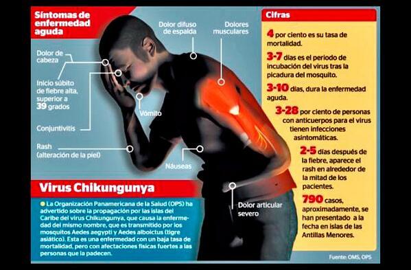 Acontecerá amanhã uma capacitação para todos os agentes de endemias - Imagem 3