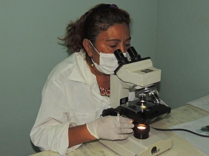 SMS e Sesapi promovem ações para controle de doença endêmica - Imagem 1