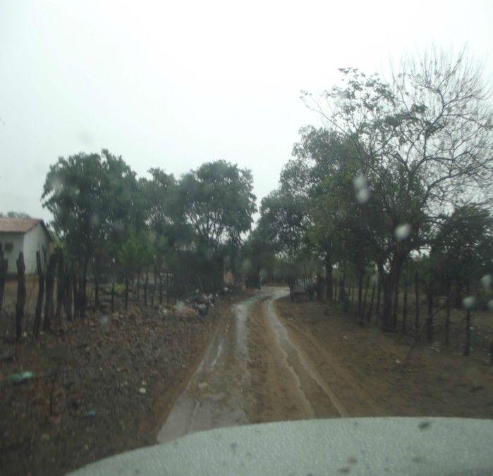 Canavieira amanheceu hoje (12) com chuva e um clima muito agradável - Imagem 1