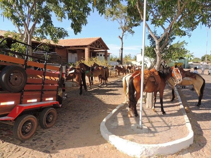 II Cavalgada das Serras tem participação record de público - Imagem 11