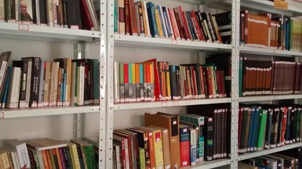 Biblioteca municipal Nasi Castro vai prestar homenagem ao poeta Da Costa e Silva - Imagem 2