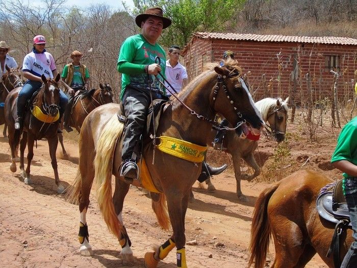 II Cavalgada das Serras tem participação record de público - Imagem 143