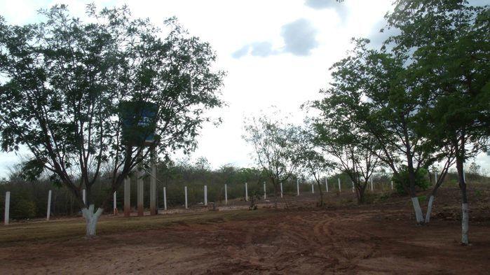 A Prefeita Socorro Bandeira entrega as instalações do novo Matadouro Público de Francinópolis - Imagem 5