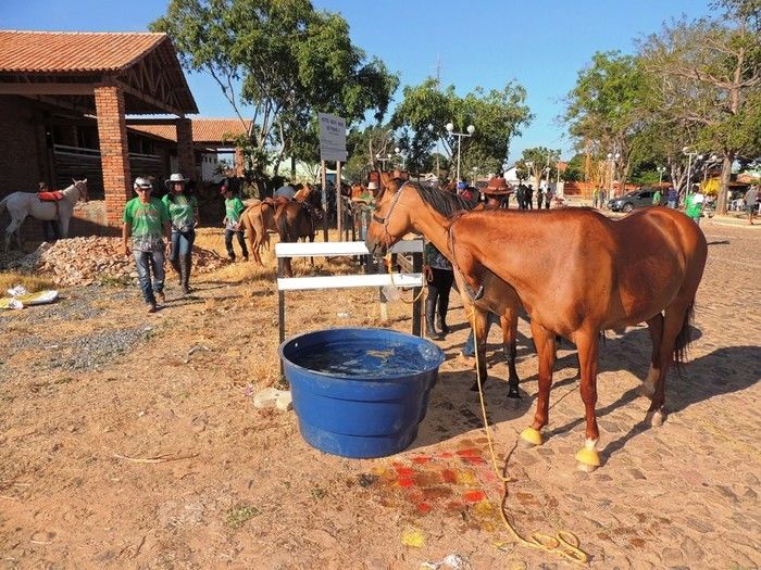 II Cavalgada das Serras reuniu público recorde em Pedro II - Imagem 5