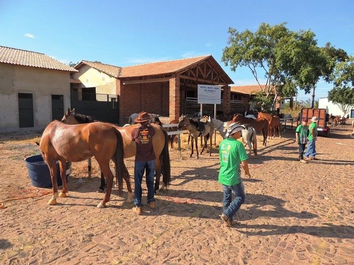 II Cavalgada das Serras reuniu público recorde em Pedro II - Imagem 7